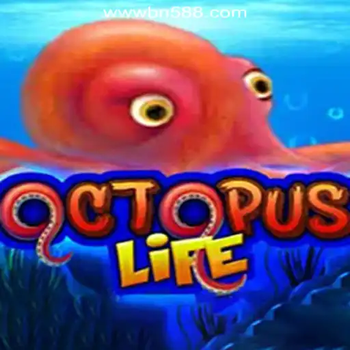Exploring the Vibrant World of OctopusLife: A Comprehensive Guide